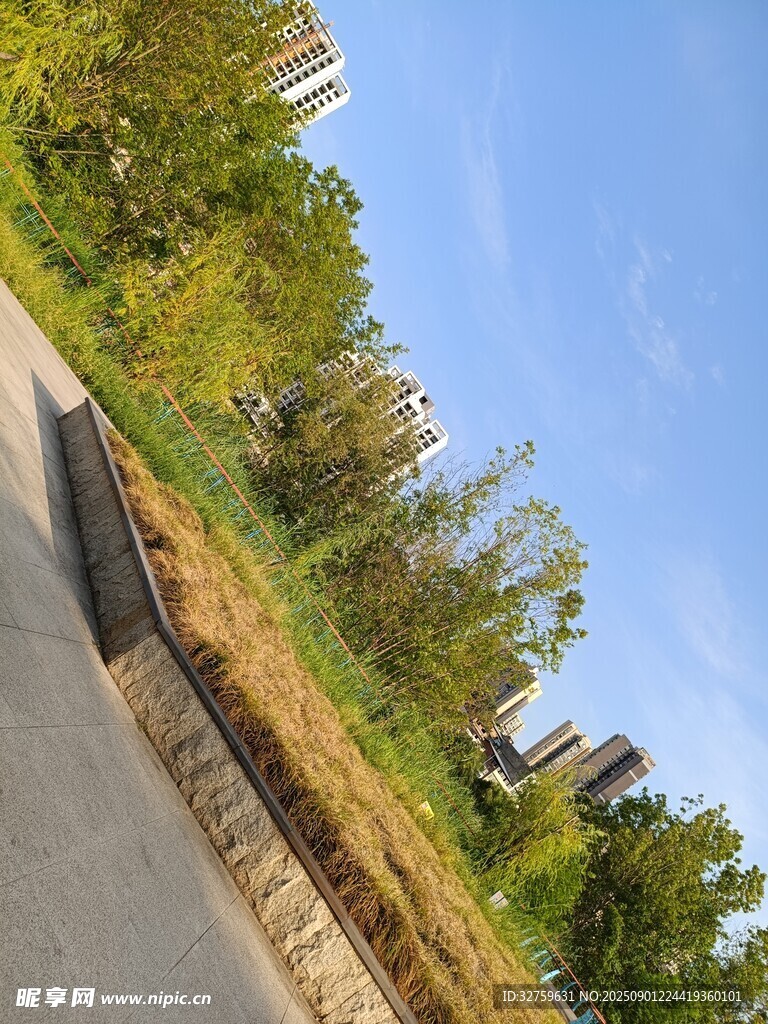 城市路邊綠意盎然的景致