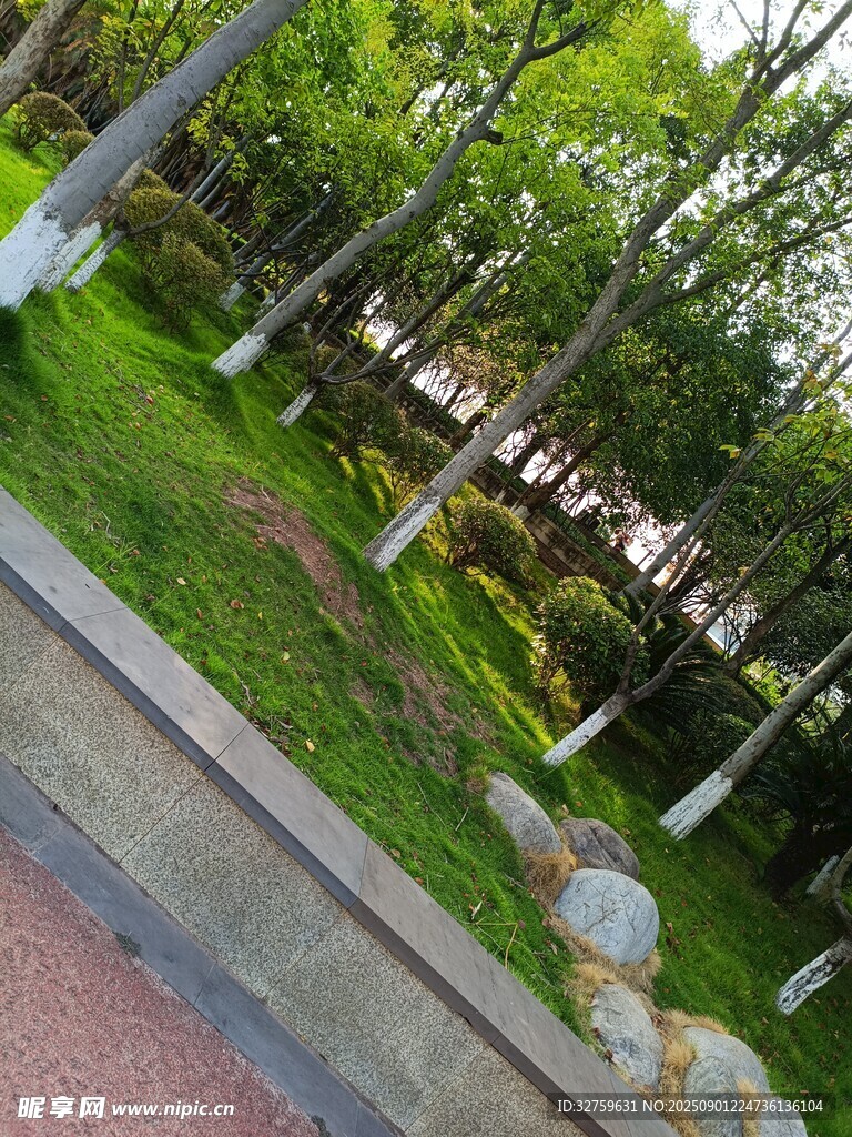 城市街邊綠意盎然的景致