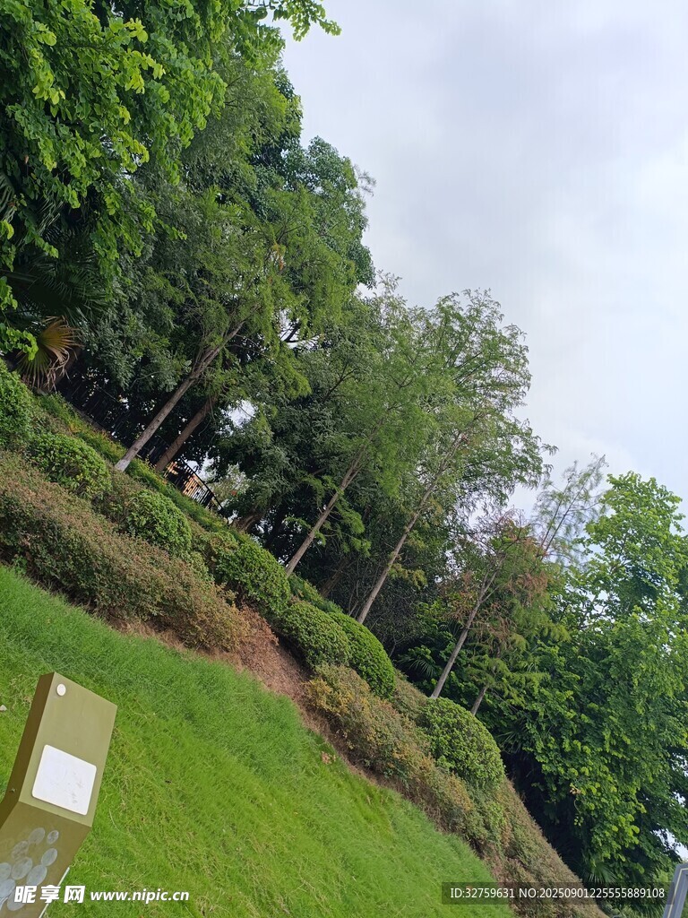 綠意盎然的戶外自然景致