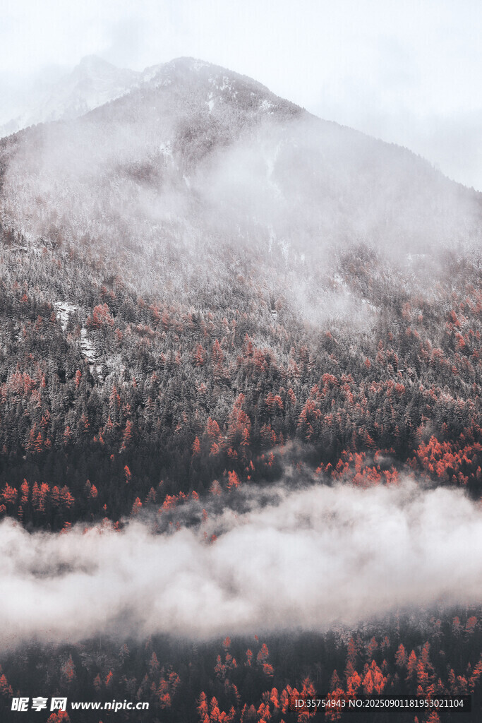 山間云霧繚繞的絢爛秋景