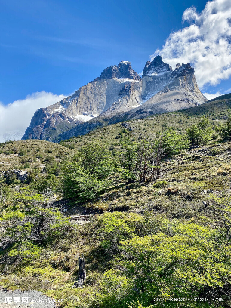 安第斯山脈壯麗山林景觀