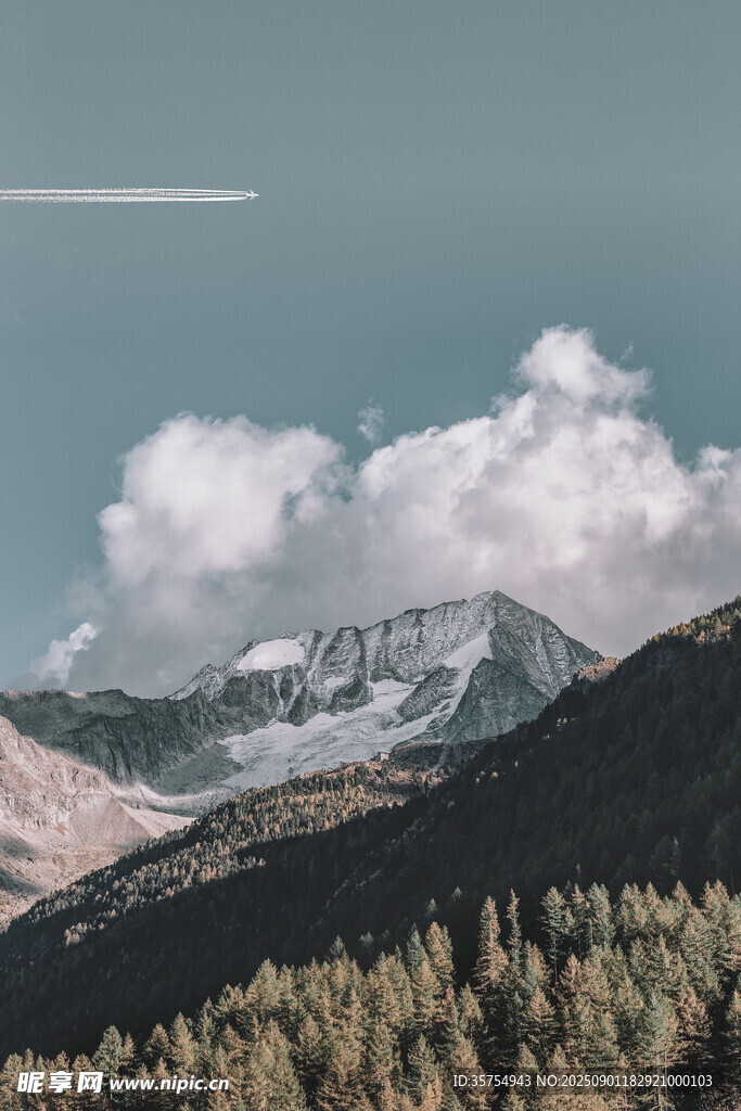 雪山森林美景