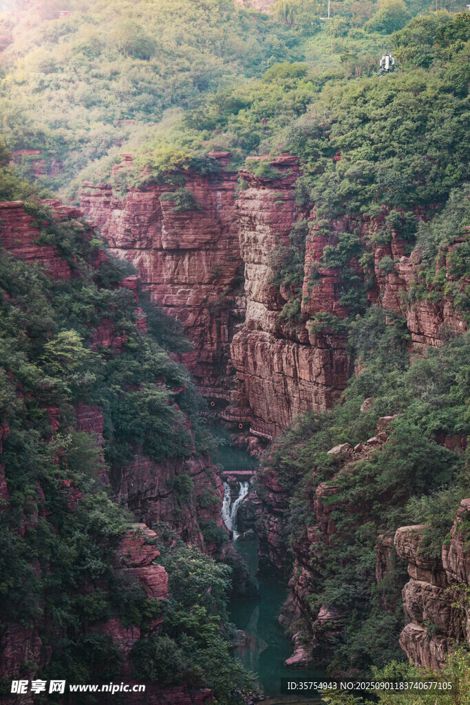 壯麗峽谷間的翠綠山林