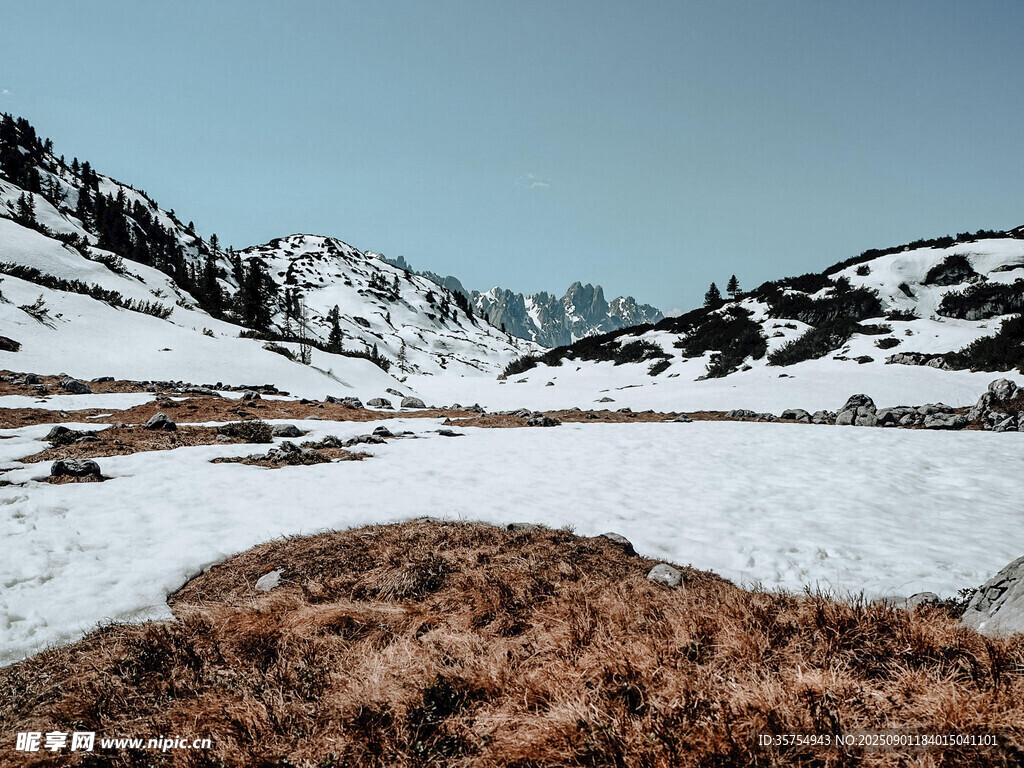 雪山下的荒野景觀