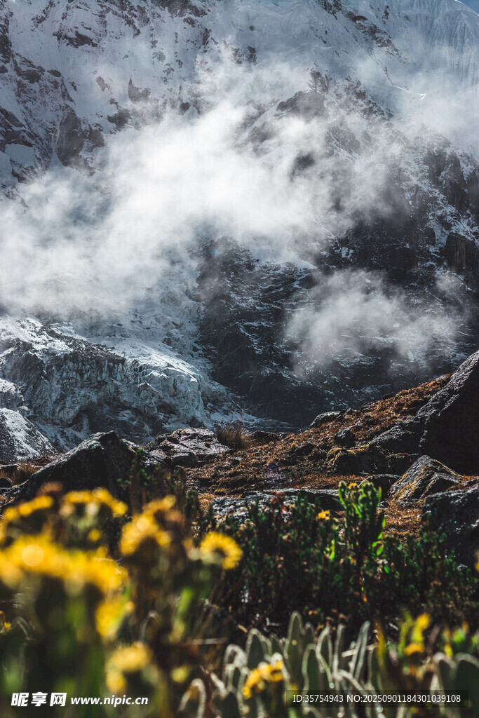 山間黃花與云霧繚繞之景