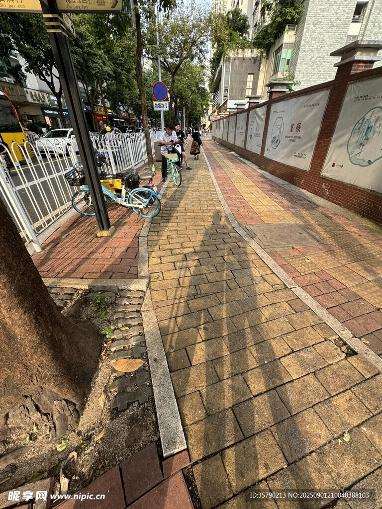 城市中色彩斑斕的磚砌步道