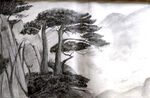 素描 迎客松 黑白畫(huà)