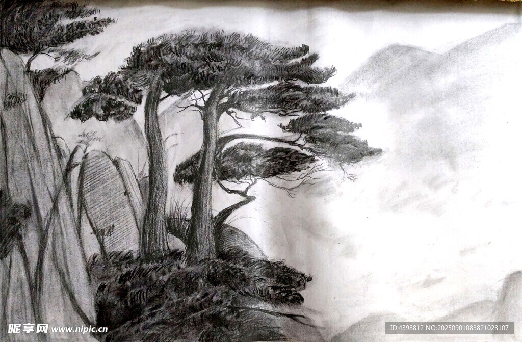 素描 迎客松 黑白畫