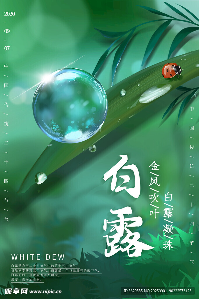 白露 