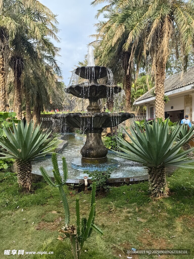 假山水池