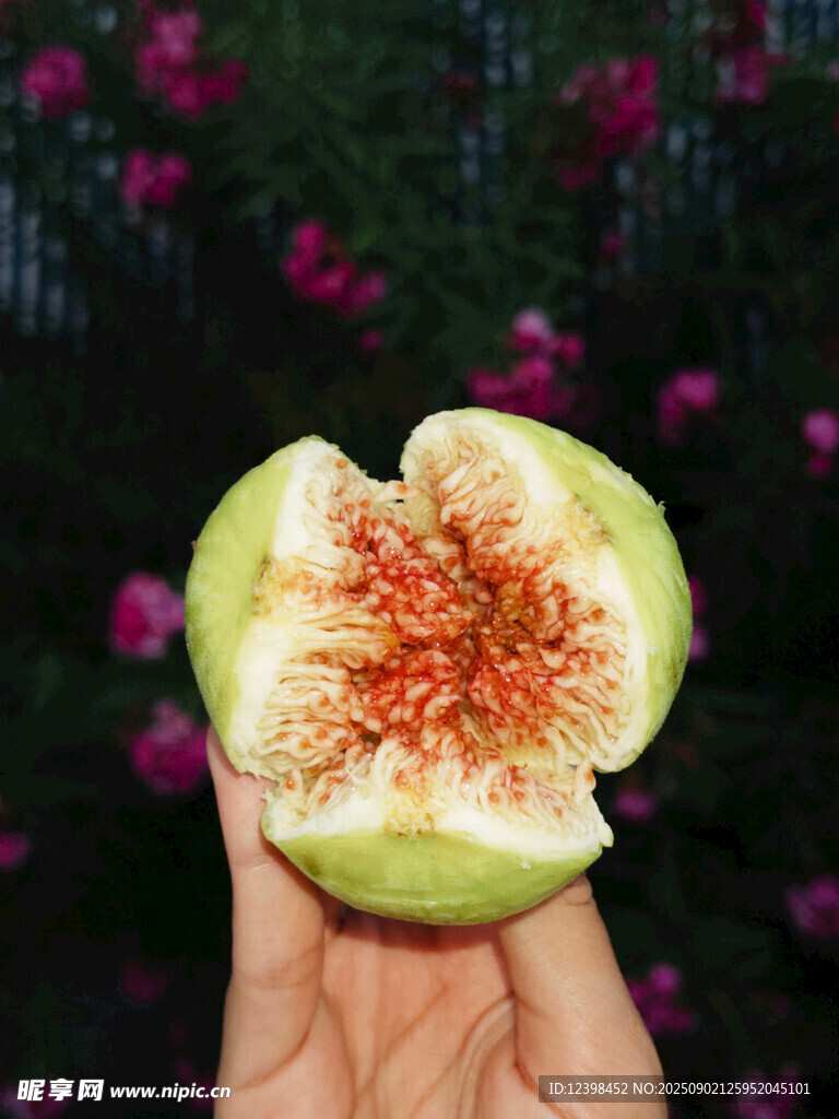 掰開的新鮮無花果果肉