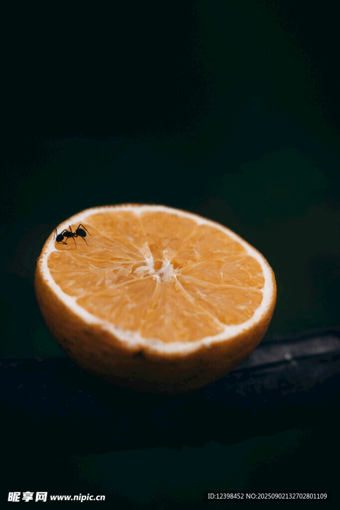半顆橙子的清新靜物圖