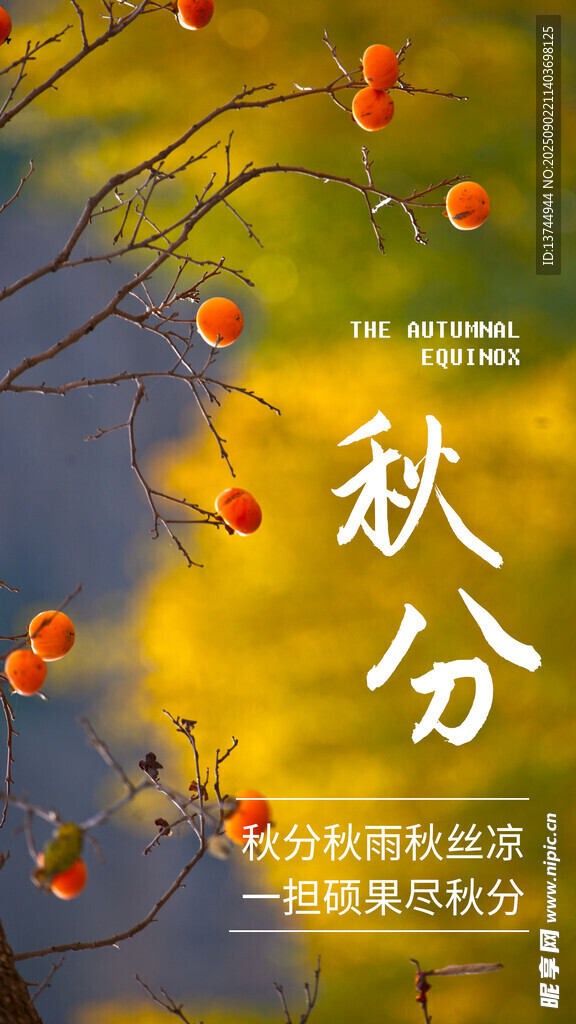 秋分
