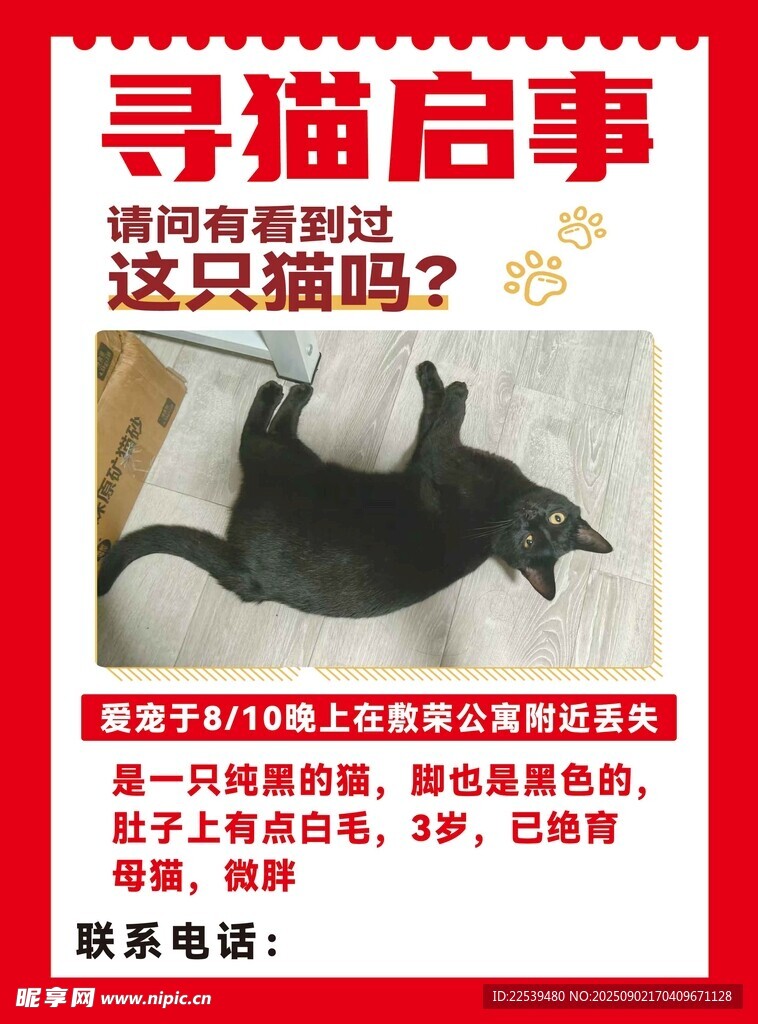 尋貓啟事 見(jiàn)過(guò)這只黑貓嗎