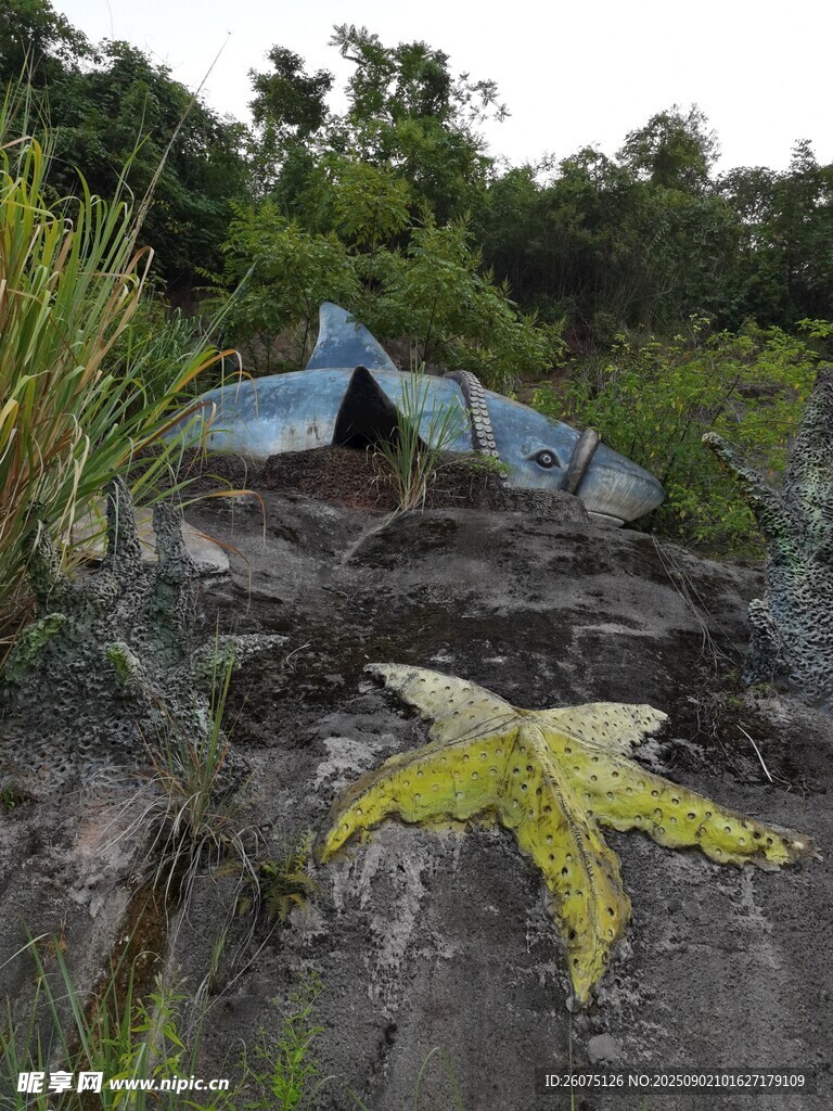 巖壁上破舊的海星與魚類雕塑