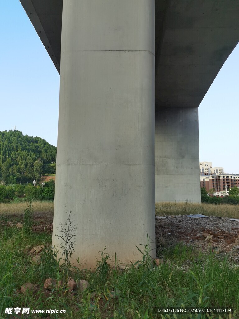 橋梁底部混凝土支柱景觀