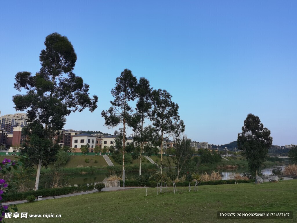 戶外開闊綠地與樹木景觀