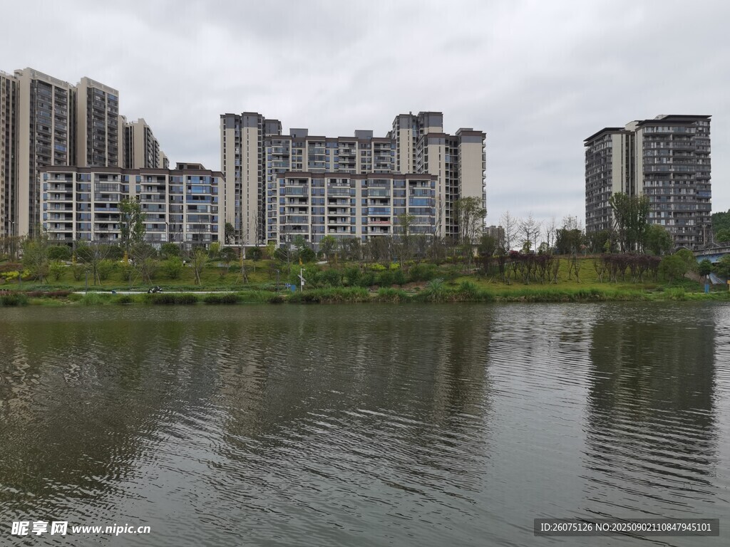 湖畔高樓林立的城市景致