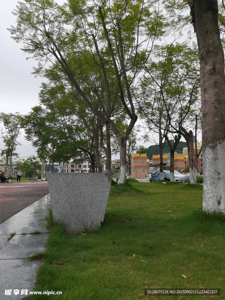 草地旁的樹木與石凳