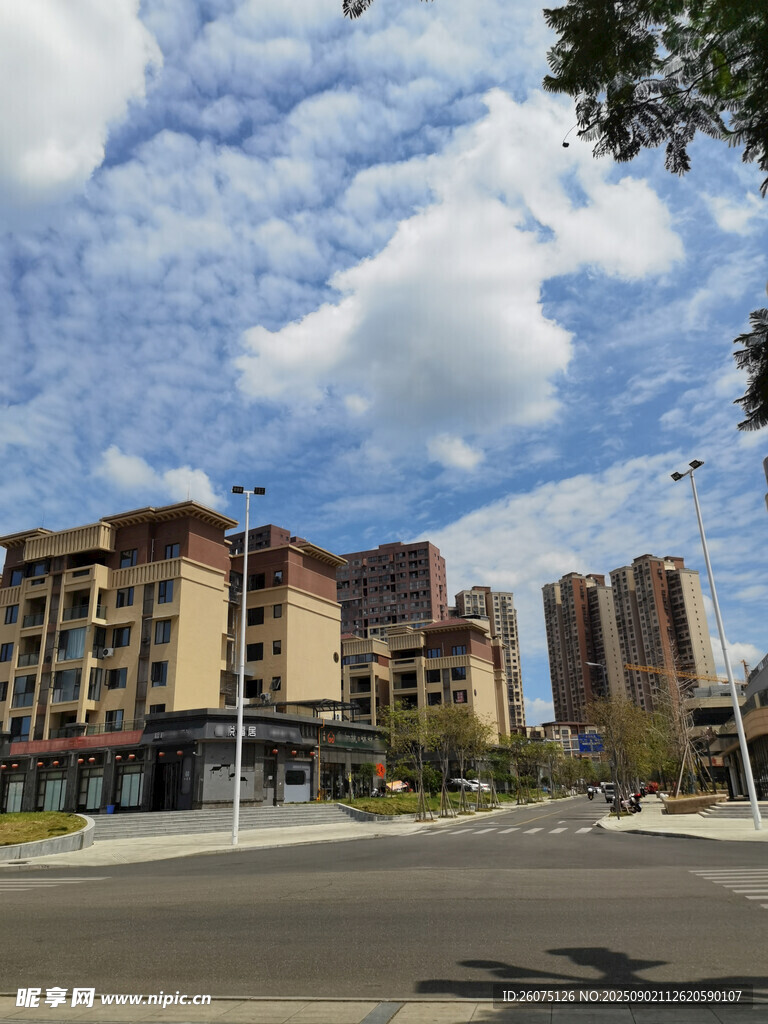 城市街道旁的現(xiàn)代建筑群