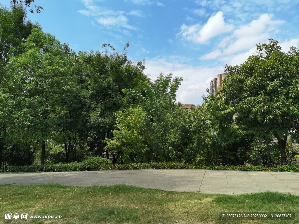 城市中的綠意盎然公園景色