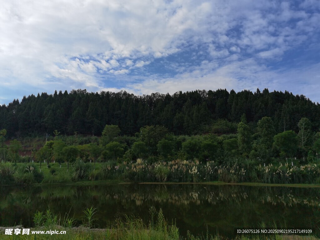 湖畔蔥郁山林風景圖