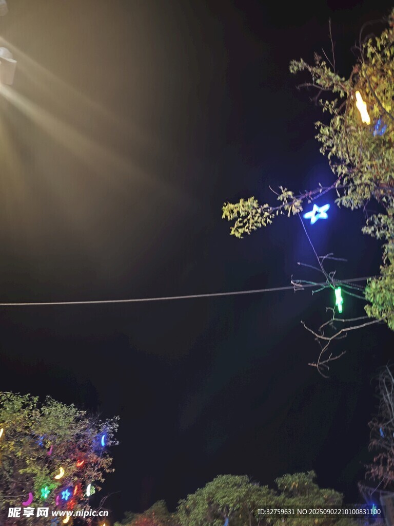 夜間樹上彩燈璀璨景象