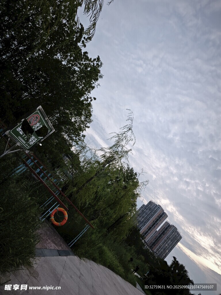 戶外綠樹環(huán)繞的休閑場景