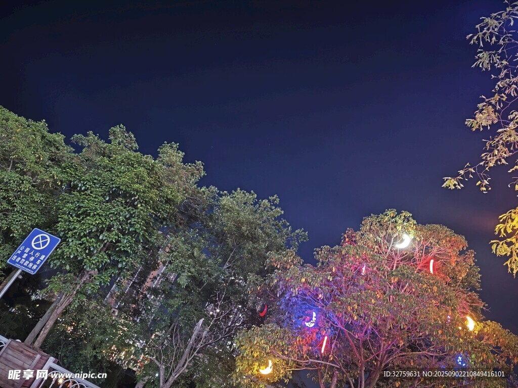 夜晚公園絢麗燈光景觀