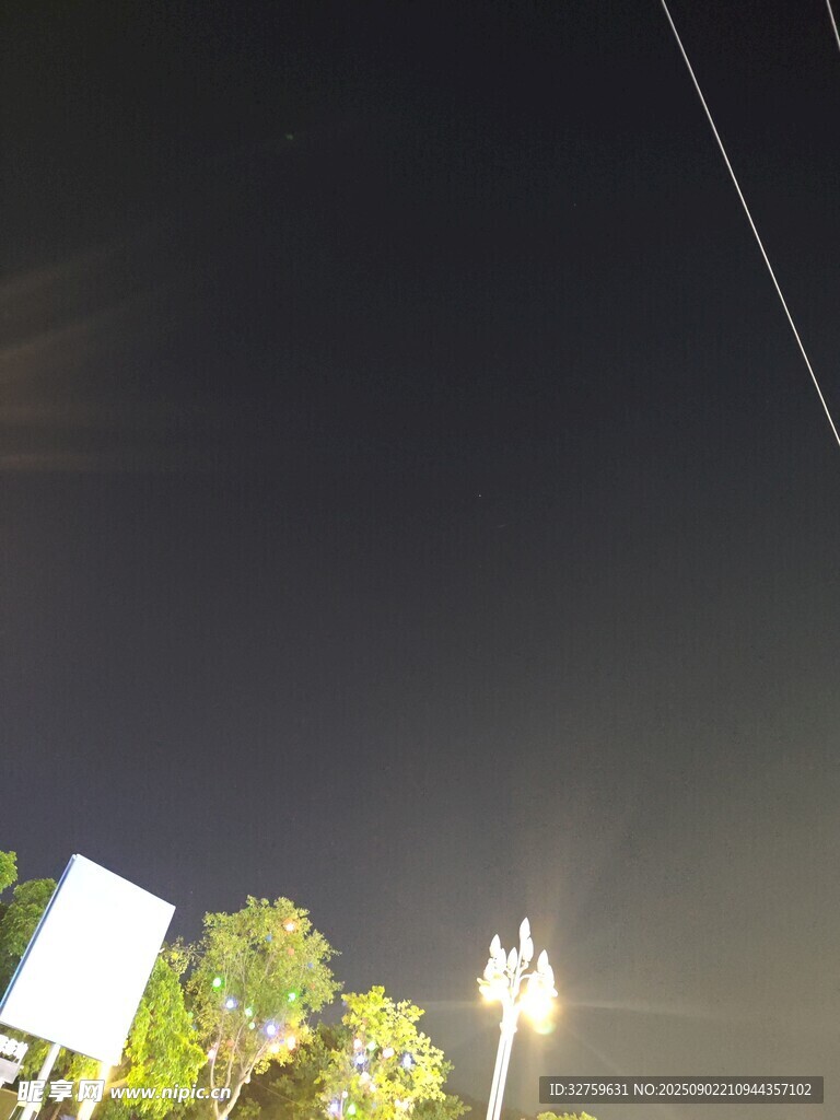 夜空下的路燈與樹木