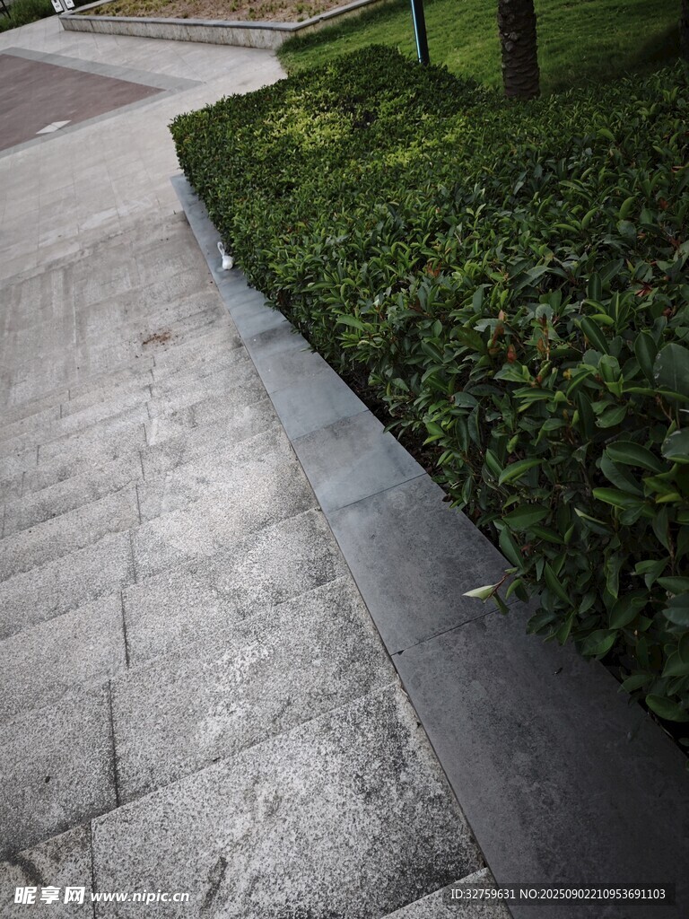 城市道路旁的綠植景觀