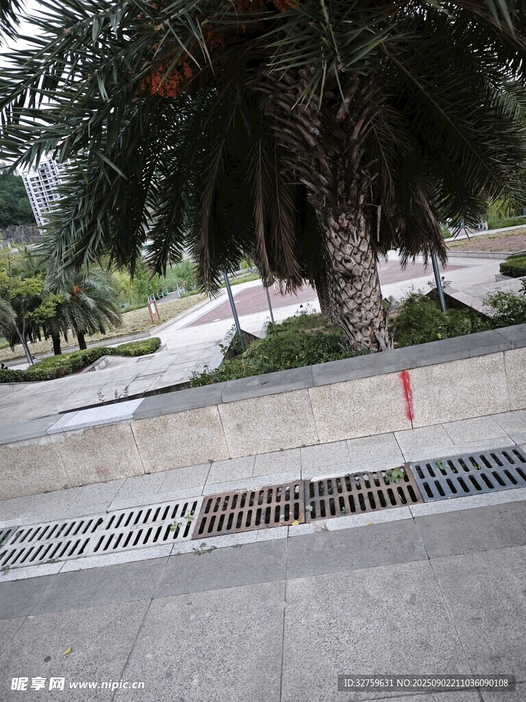 戶(hù)外道路旁的綠植景觀