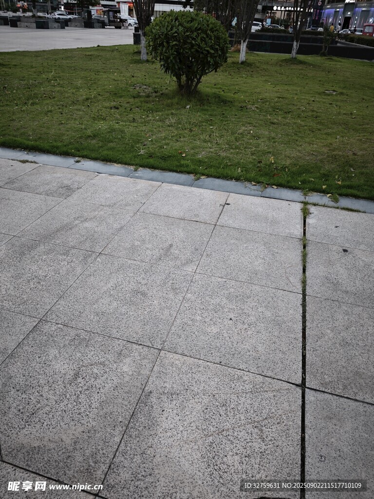 戶外水泥地面與綠植景觀