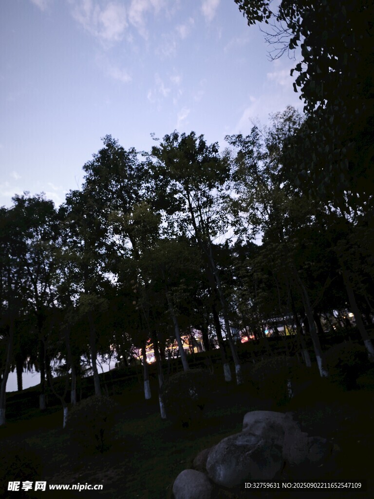 黃昏下的樹(shù)林景觀