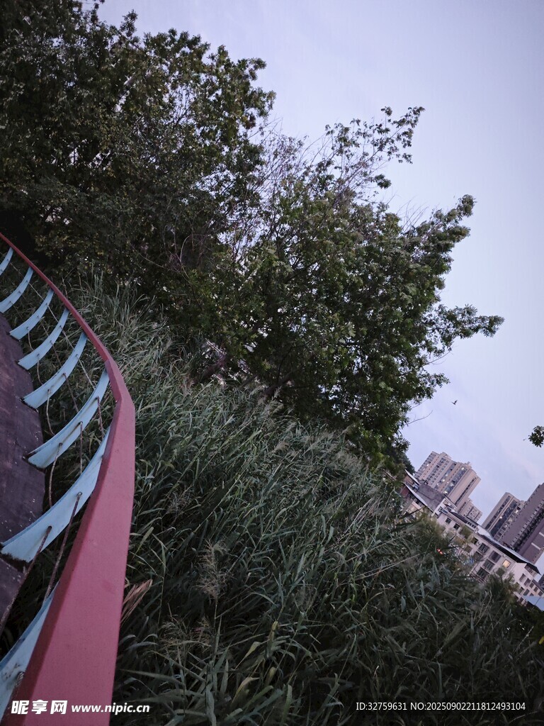 戶外綠植旁的彩色弧形設(shè)施