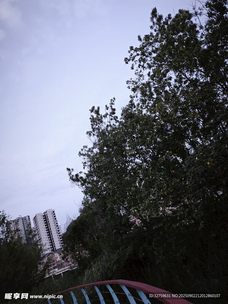車(chē)外綠樹(shù)與遠(yuǎn)處建筑景象