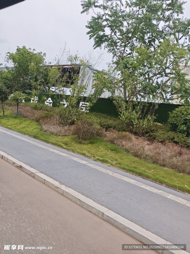 城市中的林蔭步道景觀