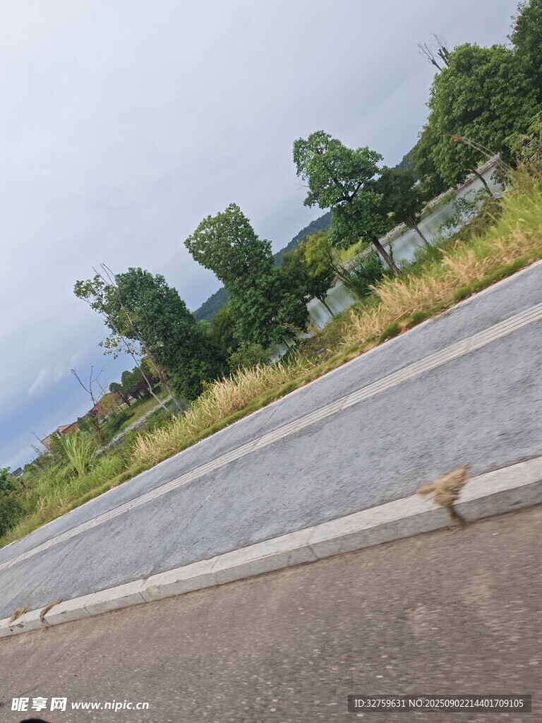空曠道路旁的綠植景觀