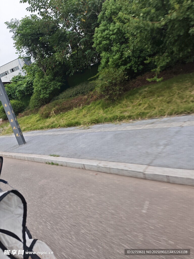 路邊綠意盎然的自然景致