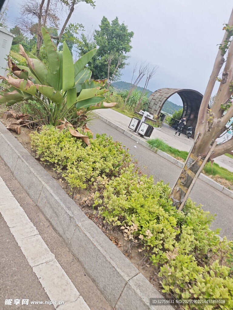城市街邊綠植景觀