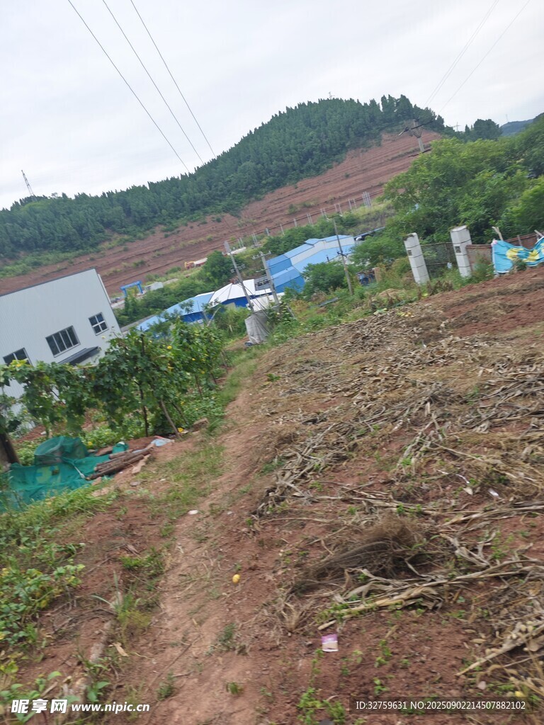 鄉(xiāng)村田野邊的建筑景象