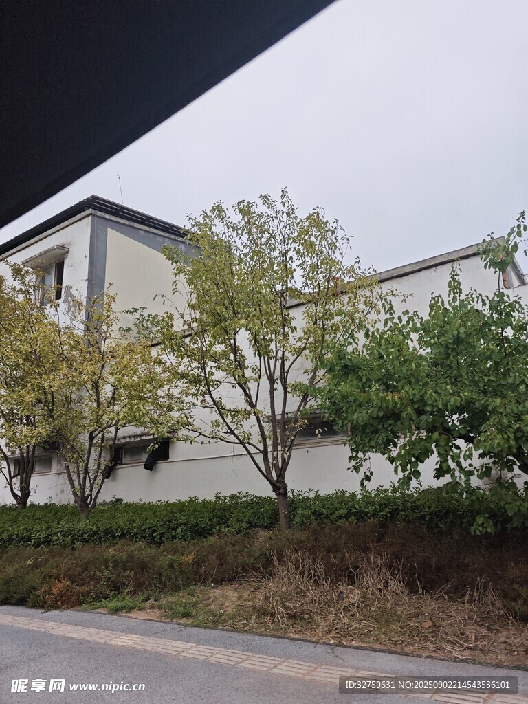 現(xiàn)代建筑旁的綠樹(shù)景觀