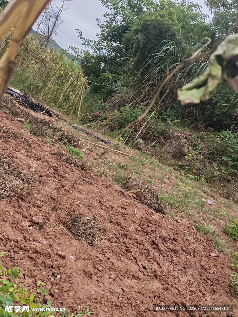 戶外開(kāi)墾的紅褐色土地