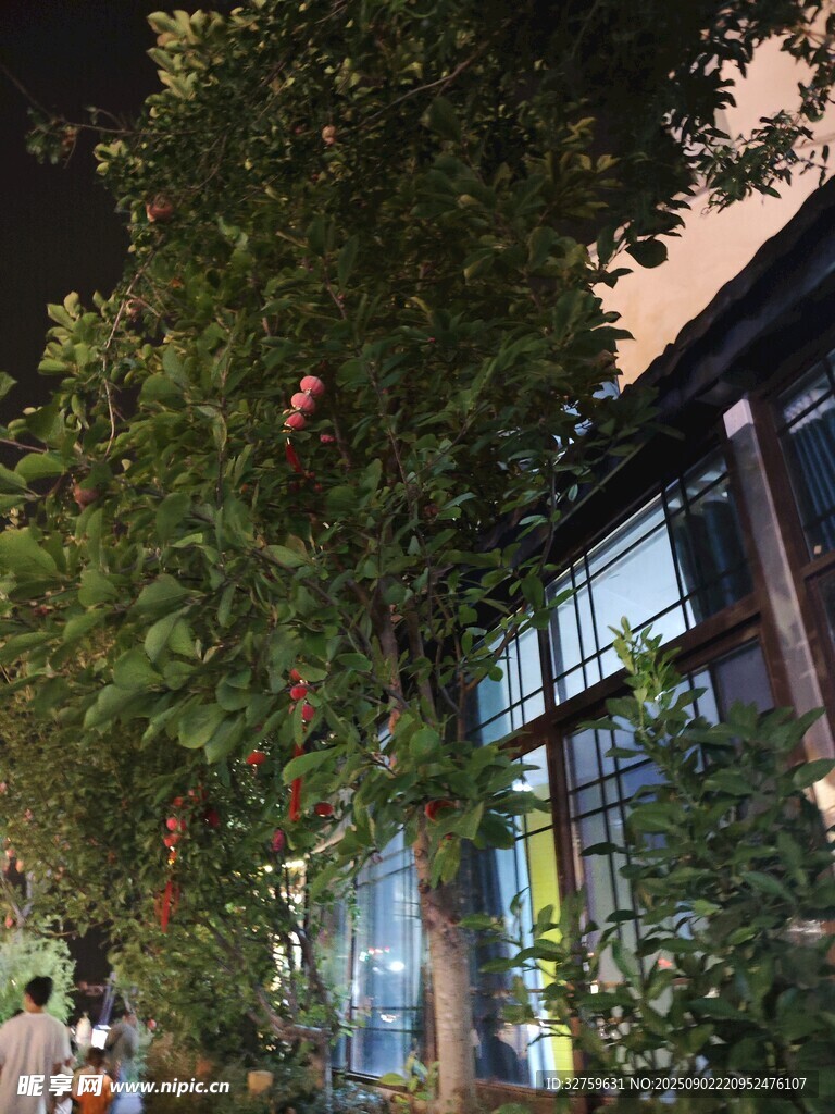 夜晚繁茂樹木旁的現(xiàn)代建筑