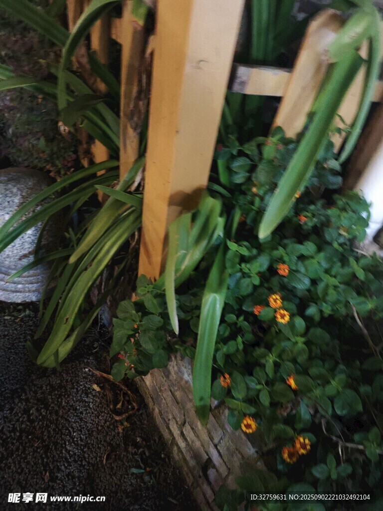 木欄桿旁的綠植花卉