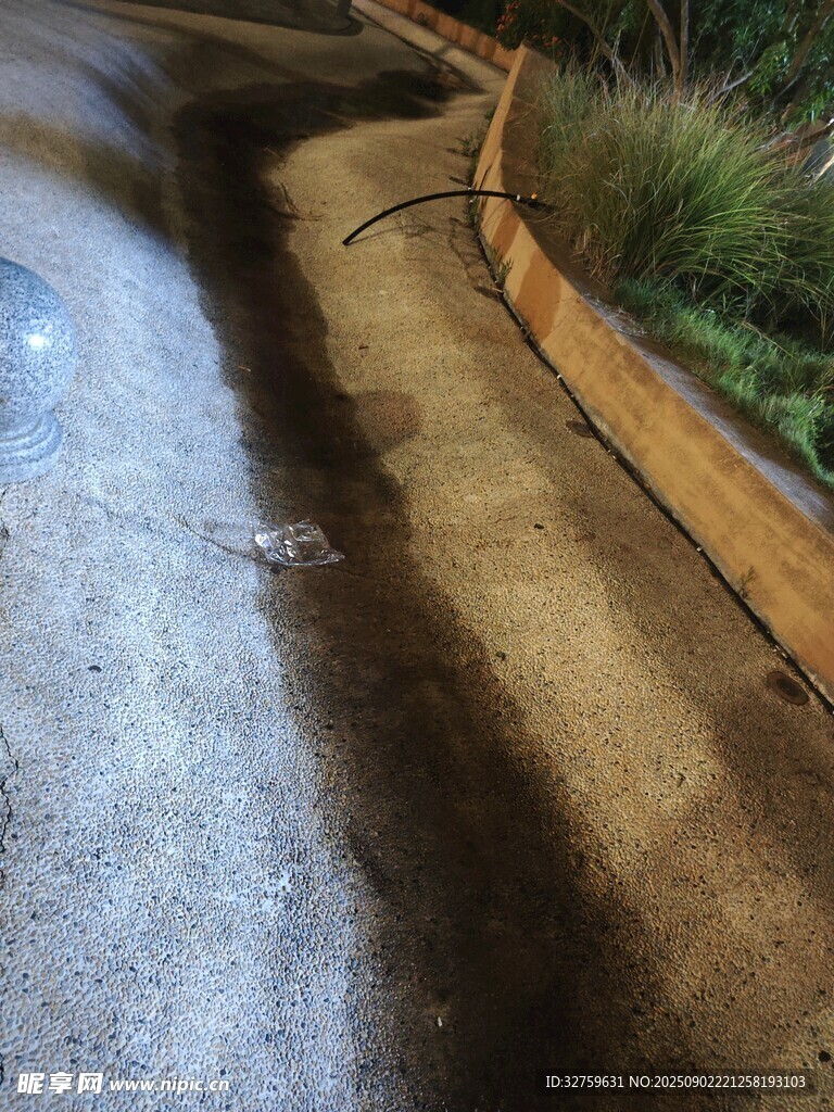 路邊積水與綠化帶景象