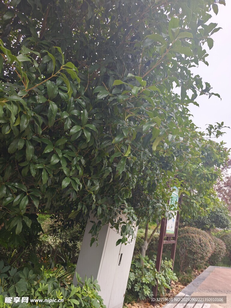 路邊綠植環(huán)繞的白色設施