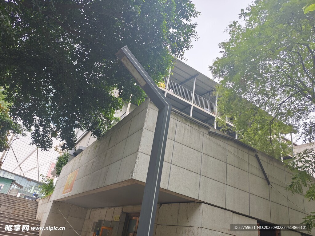 現(xiàn)代建筑旁的蔥郁綠樹