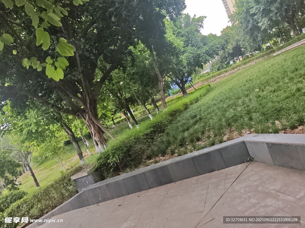 公園中的綠意小徑場(chǎng)景