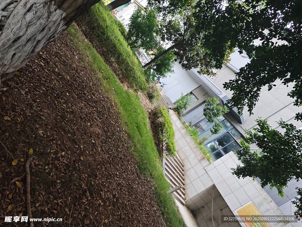 戶外綠植旁的建筑景觀